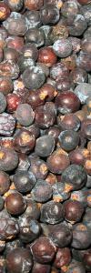 Wacholderbeeren ganz Bio