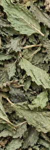 Pfefferminze ganzes Blatt Bio